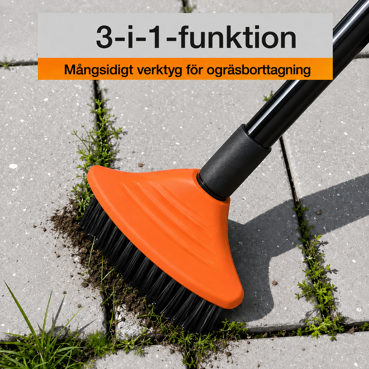 Fogborstset