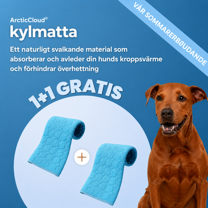 ArcticCloud® - Kylande hundmatta (1+1 GRATIS)
