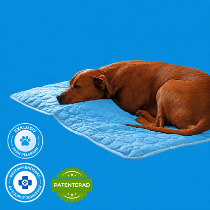 ArcticCloud® - Kylande hundmatta (1+1 GRATIS)