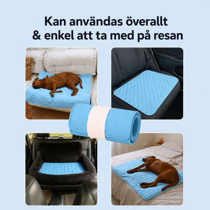 ArcticCloud® - Kylande hundmatta (1+1 GRATIS)