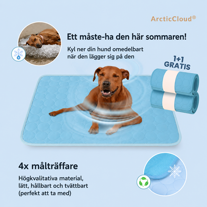 ArcticCloud® - Kylande hundmatta (1+1 GRATIS)