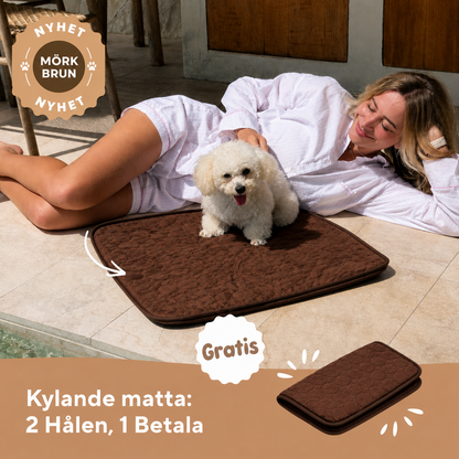 ArcticCloud® - Kylande hundmatta (1+1 GRATIS)