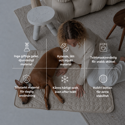 ArcticCloud® - Kylande hundmatta (1+1 GRATIS)