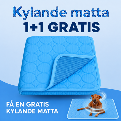 ArcticCloud® - Kylande hundmatta (1+1 GRATIS)