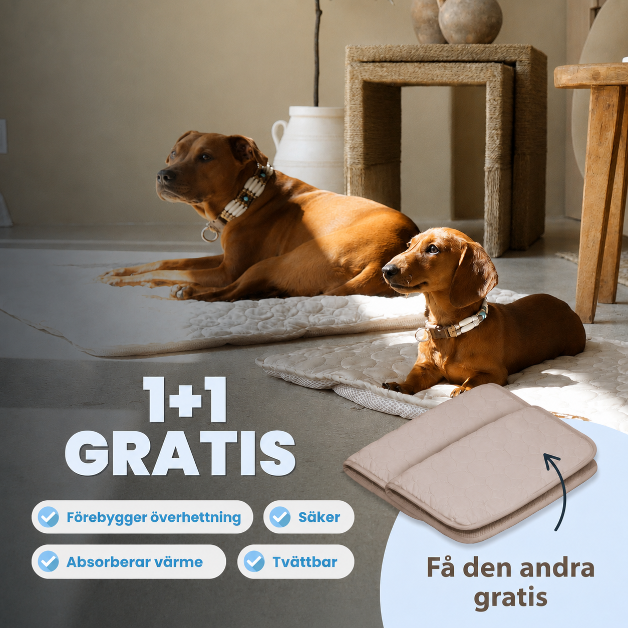 ArcticCloud® - Kylande hundmatta (1+1 GRATIS)