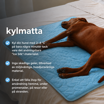 ArcticCloud® - Kylande hundmatta (1+1 GRATIS)