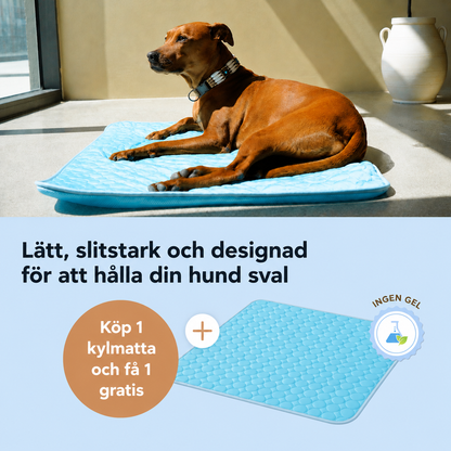 ArcticCloud® - Kylande hundmatta (1+1 GRATIS)